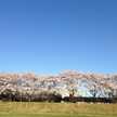 yzousan