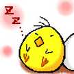 notte