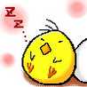 notte