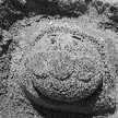 tera1611