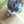 hakou