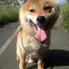 kazu。