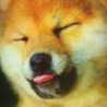 ももやん＾＾