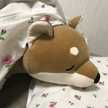 yuena☆