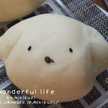 mikikupi