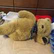 すごーちゃん