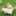 ゆきうさぎさんち ゆきうさぎさんち