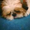 sweethert