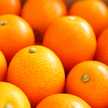 pomme00