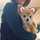 ムサムサ