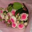 SweetyJohn