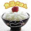 JA魚沼うんめぇ