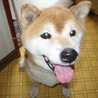 かあこのへや