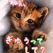 ささなを