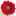ほの花ん