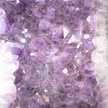 snow*garden