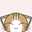 ほしねこ堂
