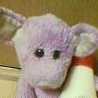 nergis