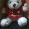 TeddySao TeddySao