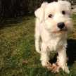 madeaux