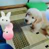 なりみさ☆