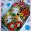 MINARIN5