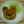 クックV7889V☆