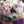 melb_girl