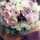 melb_girl melb_girl