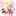 2525misa 2525misa
