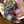 クックZNN0MR☆