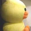 クック航海長