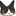 ちびこねこ* ちびこねこ*
