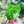 こぱんだま6