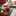 foodaily_3 foodaily_3