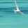 Blue-Island Blue-Island
