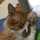 Kats_001 Kats_001