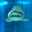 クックSCKWQ2☆
