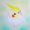 よーぐるとぷりん