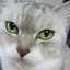 eowyn