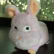 AnnaBiebs