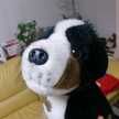 PanDomo