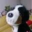 PanDomo