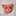 acchanegg acchanegg