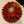 cocecco