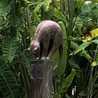 Lizlizard