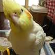 クックM5RBQV☆