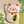 ＊＊ちぃ～こ＊＊