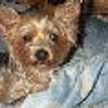 meana