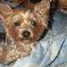 meana